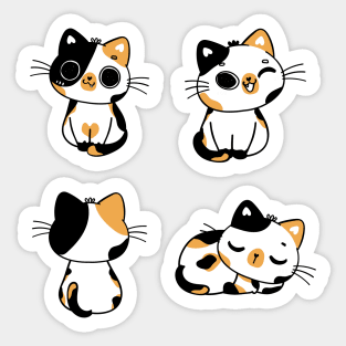 Funny Cute Calico cats Sticker